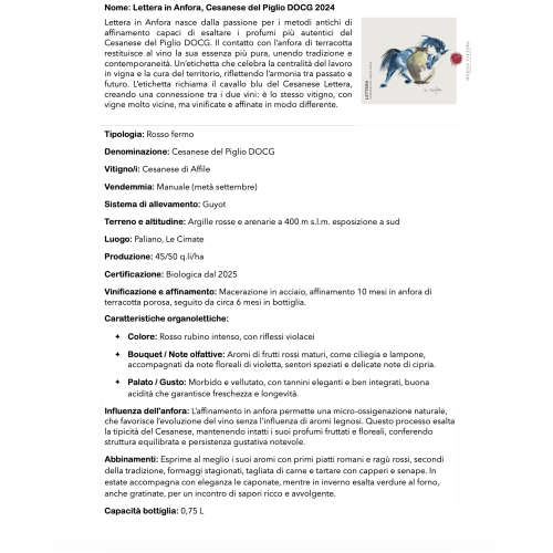 lettera-in-anfora